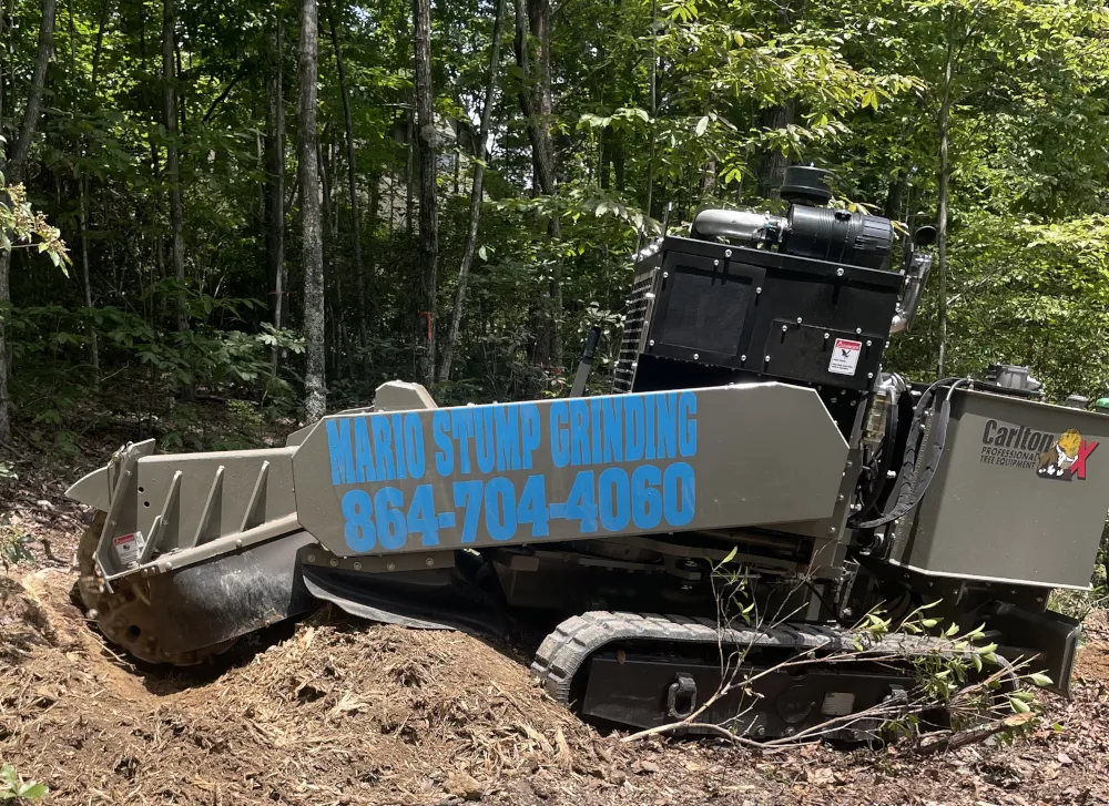 Mario Tree Service stump grinder